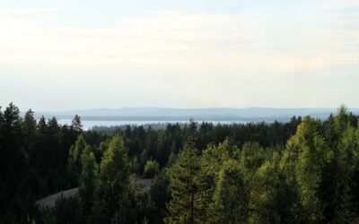 Antaa ajatuksen lentää!