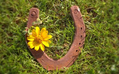 Johtajan taito suhtautua myönteisesti herättää työntekijät eloon