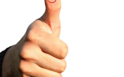 Miten teillä johdetaan?