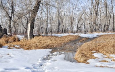 Moninaisuus tekee työelämän eläväksi