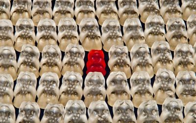 ”Jos minä en tee tätä, ei kukaan muukaan tee” – haitalliset myytit työelämässä