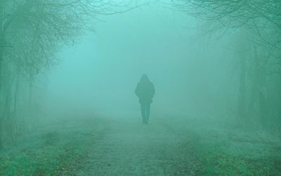 Työelämän selviytyjät