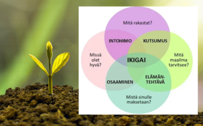Näe hyvä ja löydä oma Ikigai