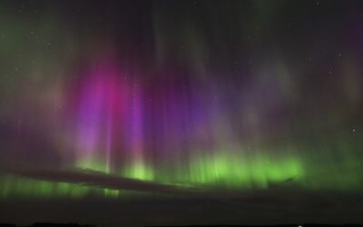 Johtajan haastavin taito?