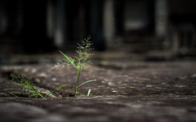 Oletko oivaltanut inhimillisten vahvuuksiesi merkityksen?