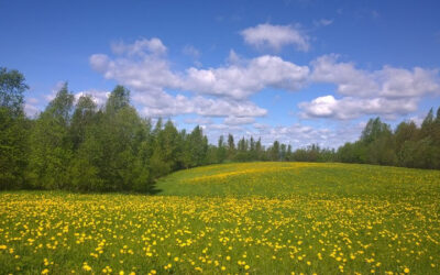 Kesällä aurinko paistoi aina